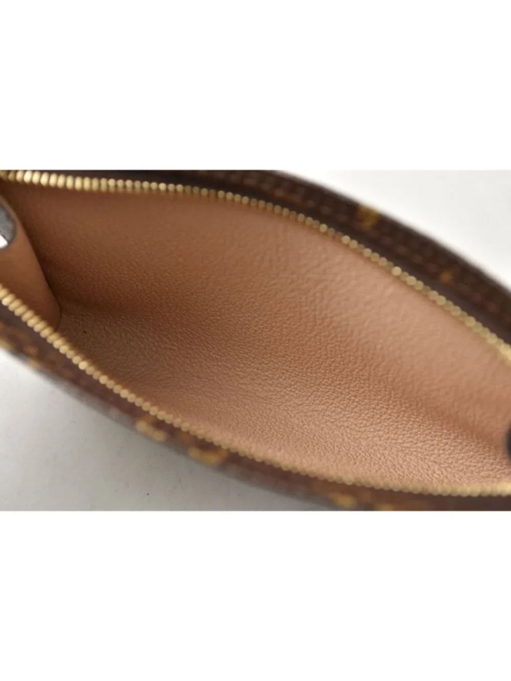 Louis Vuitton monogram canvas
